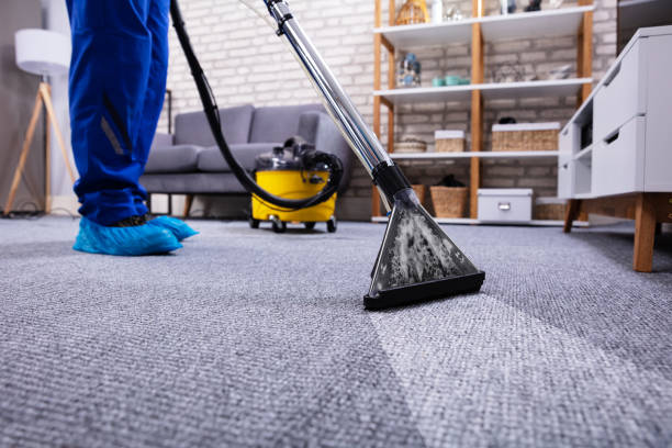 Carpet Cleaning: Things You Should Know and Keep in Mind